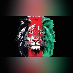 Afghanistan flags for the back of the car